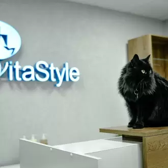 Груминг салон VitaStyle